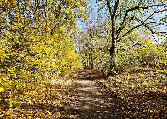 Апартаменты Funcke *