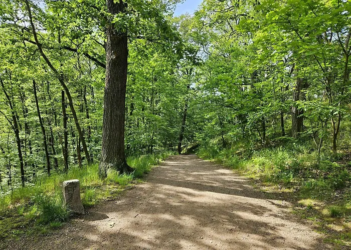 Апартаменты Funcke Эйзенах